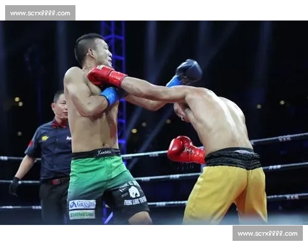 武林风巅峰之战播求对决一龙荣耀与争议交织的世纪较量全民关注之夜